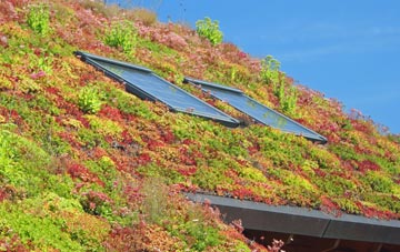 Chalksole living roof systems